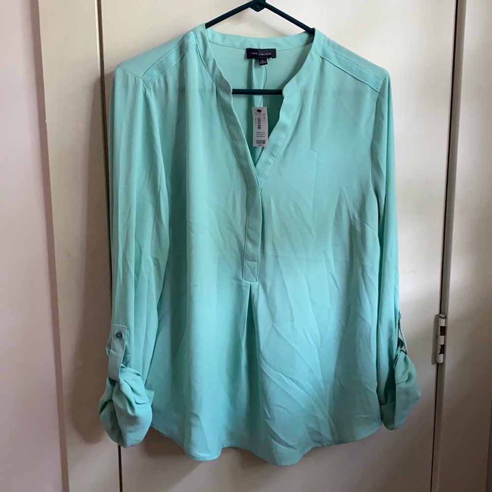 The Limited Blouse